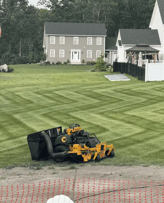 Freshly striped diamond-pattern lawn with a stand-on mower