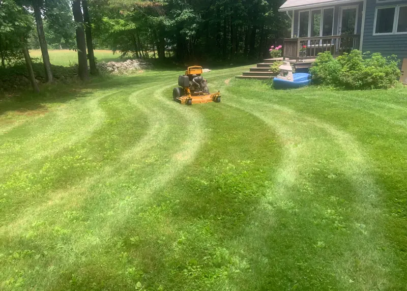 Stand-on mower striping a backyard lawn