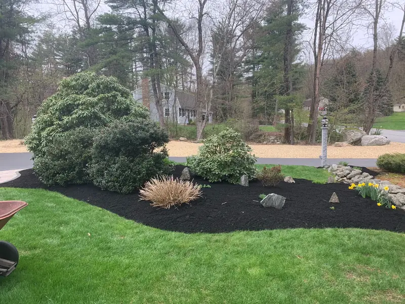 Curved mulch bed with shrubs and ornamental grasses
