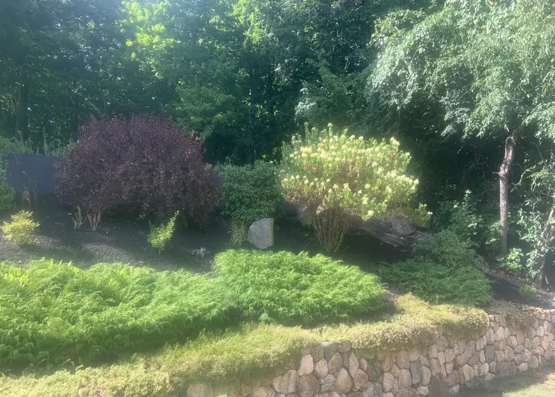 Lush planting beds above a stone wall