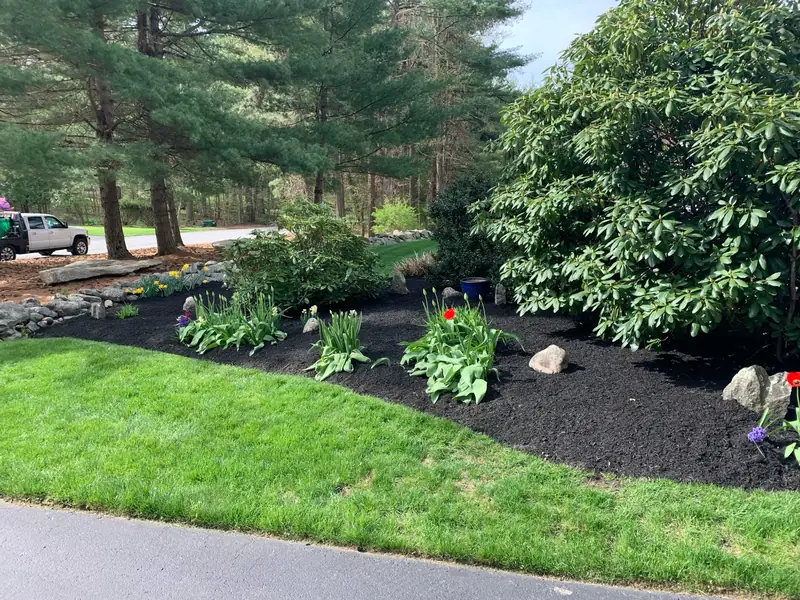 Mulched beds with spring flowers along a lawn