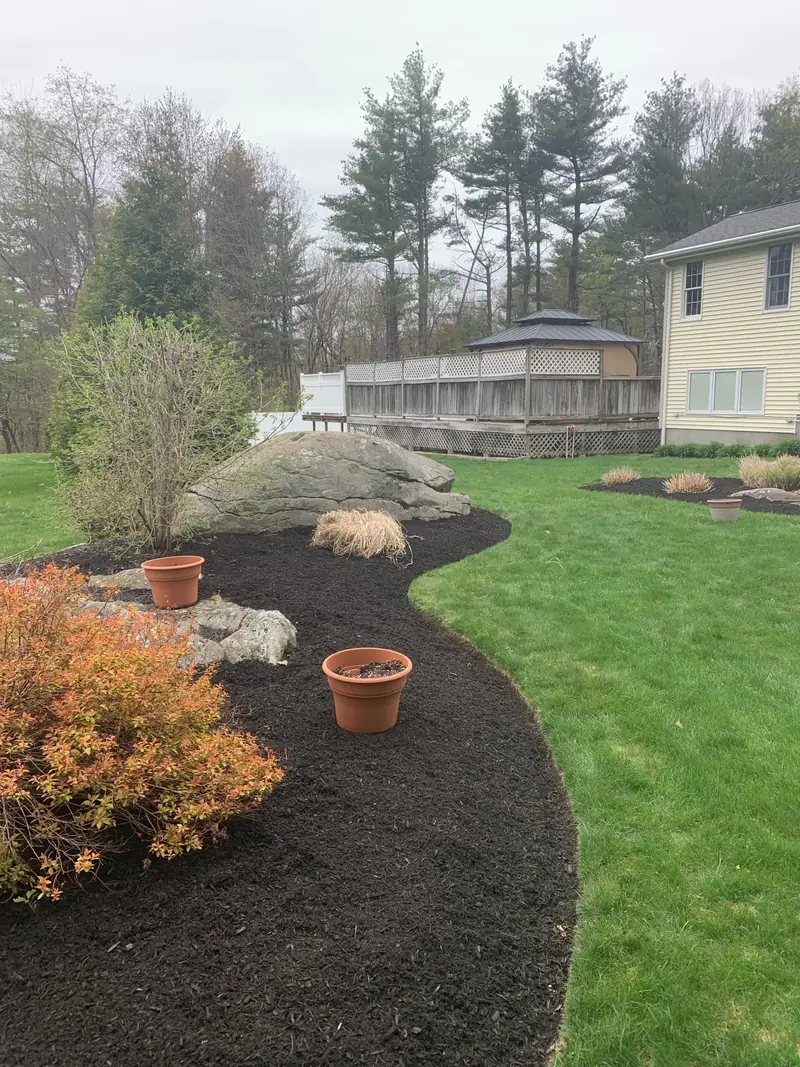 Curved mulch bed with shrubs next to a lawn