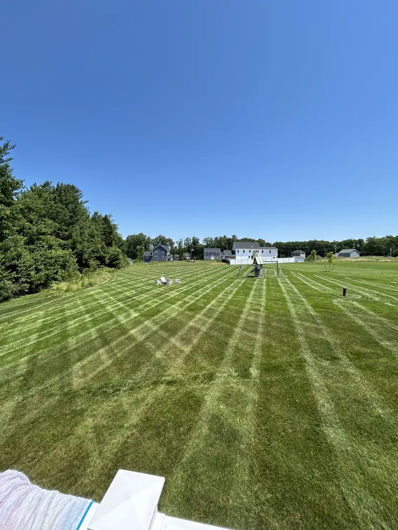 Wide, freshly striped field-sized lawn