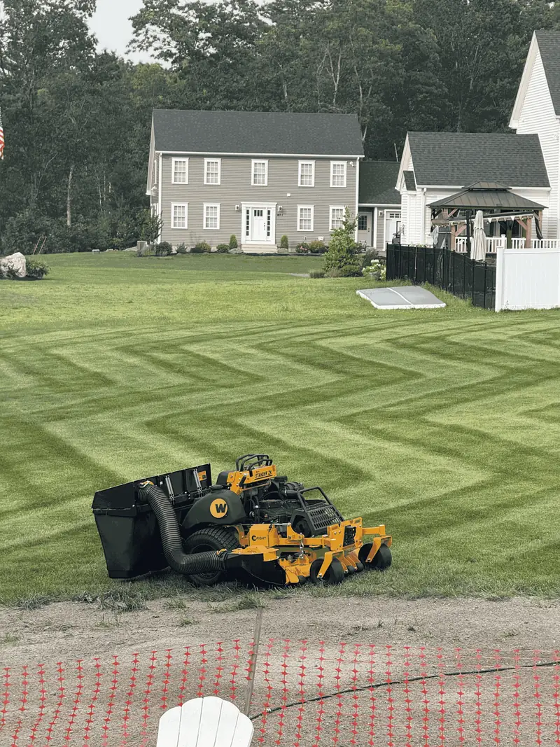 Diamond-striped lawn with a stand-on mower