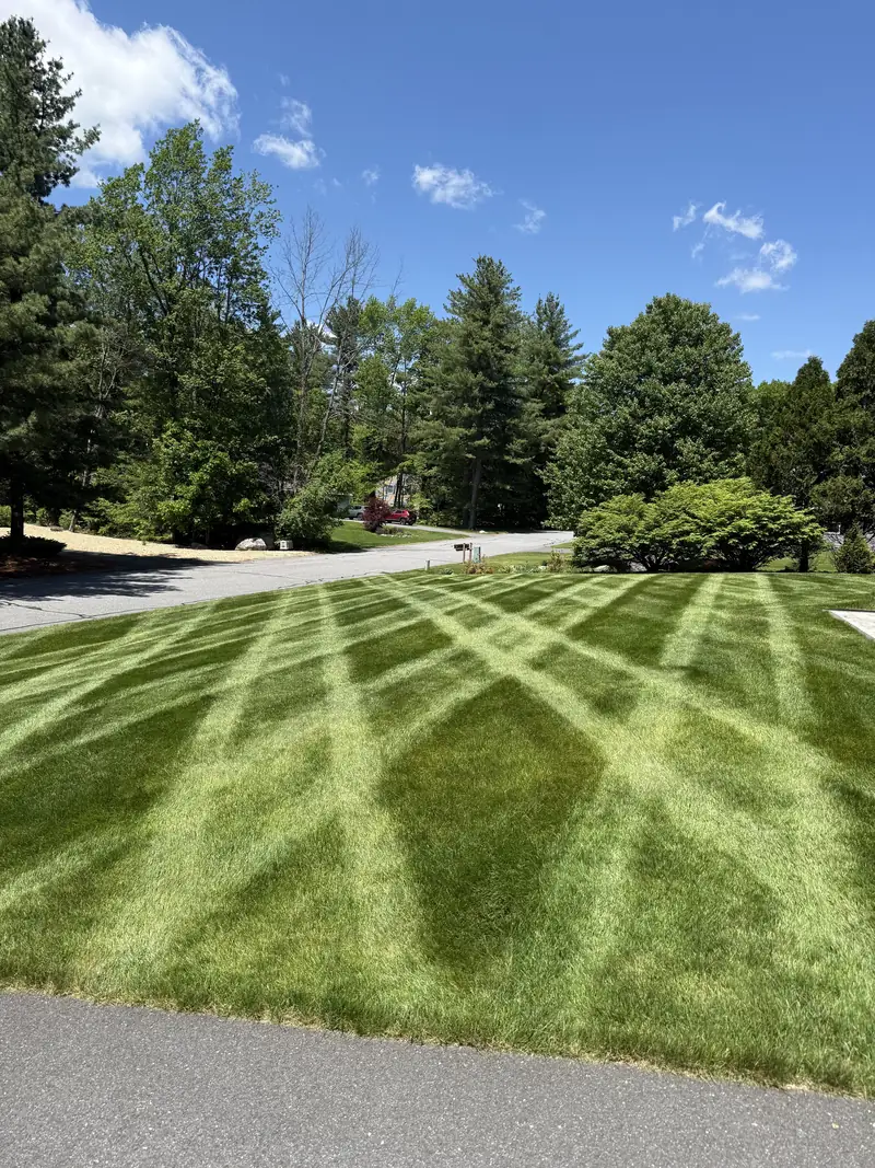 Crisscross-striped lawn by a driveway