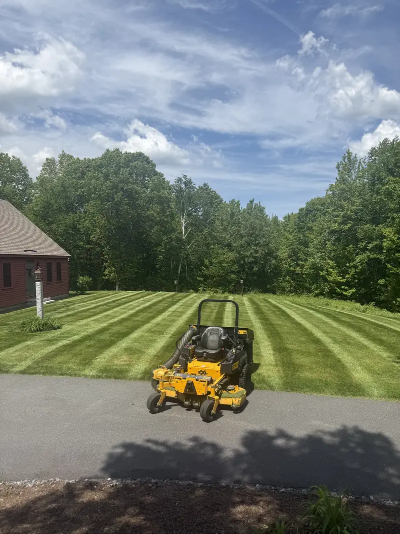 Stand-on mower on a freshly striped lawn