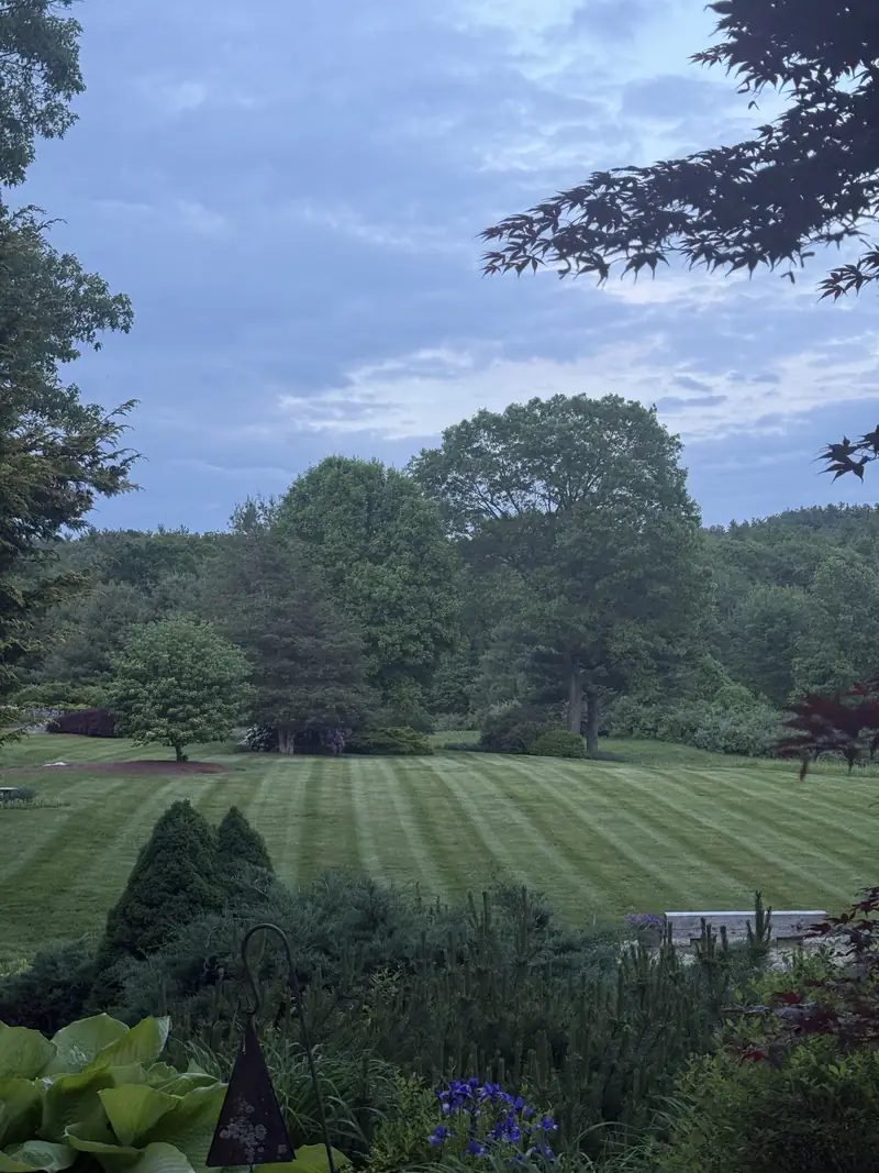 Striped lawn on a large property