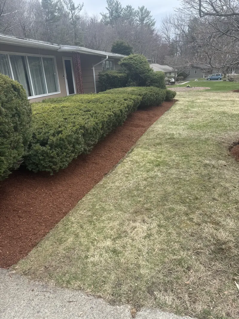 Freshly edged mulch beds along a walkway and lawn