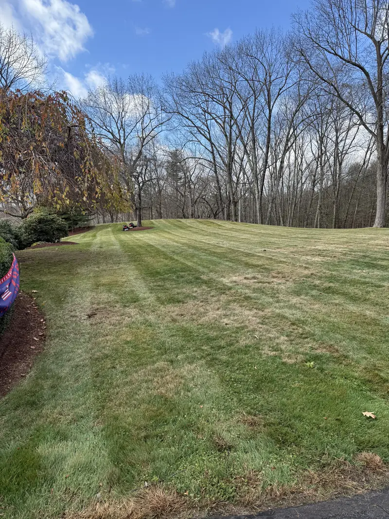 Freshly mowed lawn with mature trees