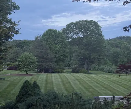 Freshly striped lawn on a large property